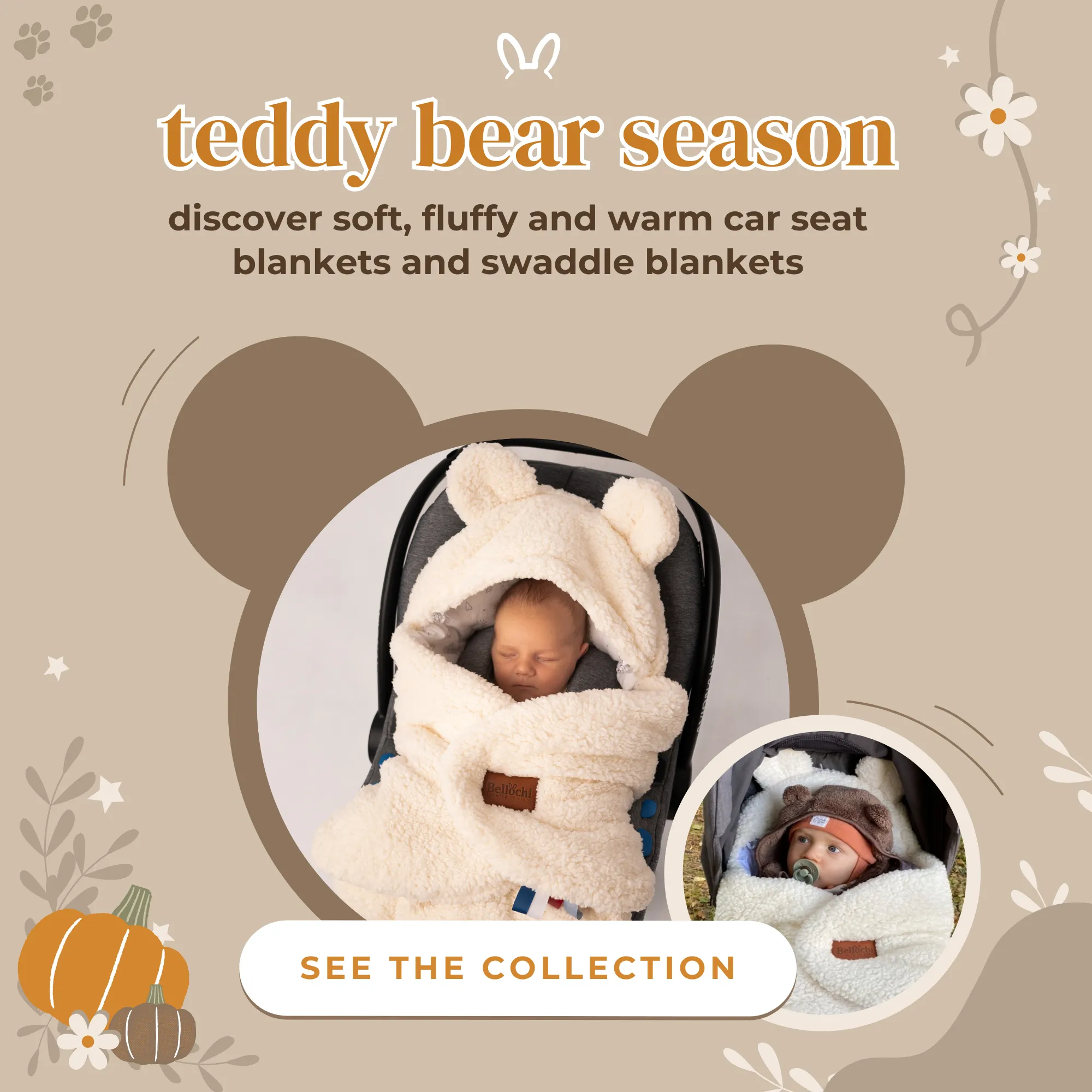 teddy season